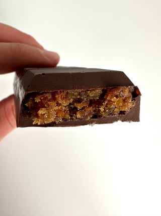 Dark Chocolate - Medjool Date Peanut Butter Center (4.5 oz)