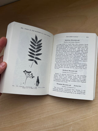 Vintage 1957 Trees Book by William M. Harlow