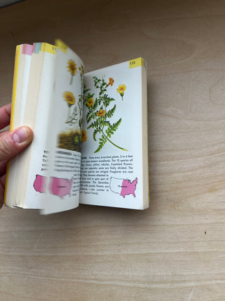 Vintage 1950 Flowers Guide Book