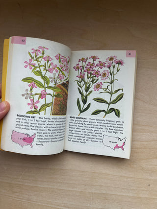 Vintage 1950 Flowers Guide Book