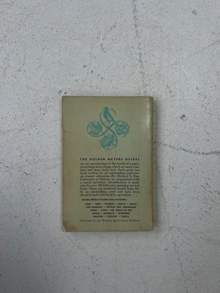 VIntage 1956 Birds Guide Book