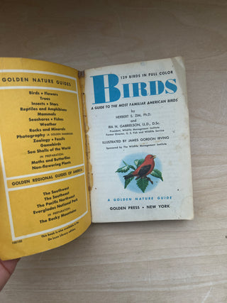 VIntage 1956 Birds Guide Book
