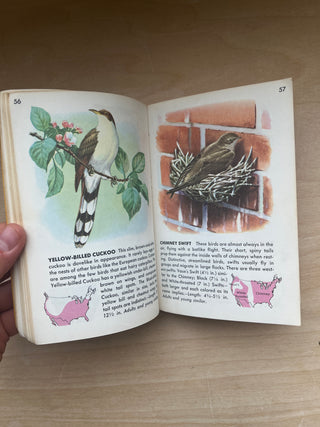 VIntage 1956 Birds Guide Book