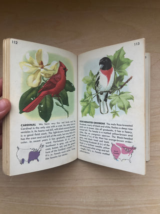 VIntage 1956 Birds Guide Book