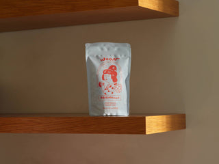 Woon Genmaicha tea package positioned on floating wooden shelf against beige wall showing full product branding