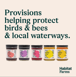 Harvest Plum Jam