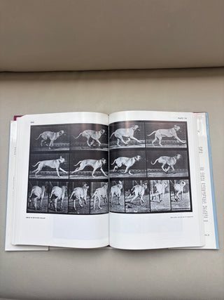 Vintage Animals in Motion Muybridge Book