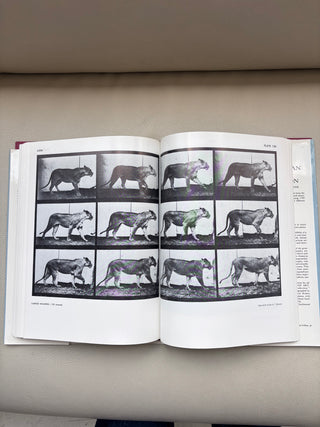 Vintage Animals in Motion Muybridge Book