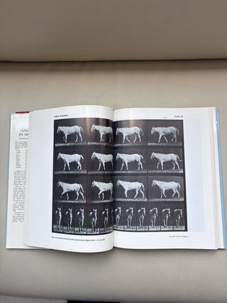 Vintage Animals in Motion Muybridge Book