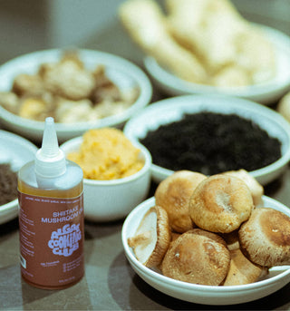 Shiitake Mushroom Oil bottle surrounded by small white bowls of ingredients including fresh shiitake mushrooms and dried spices on light surface