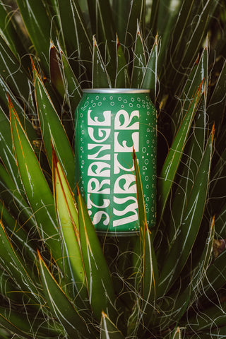 Sparkling Coconut Water